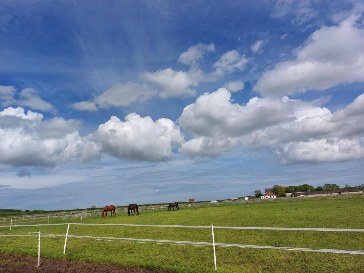 Hotel Braemar Equestrian, East Riding Of Yorkshire Burton Pidsea Exterior foto